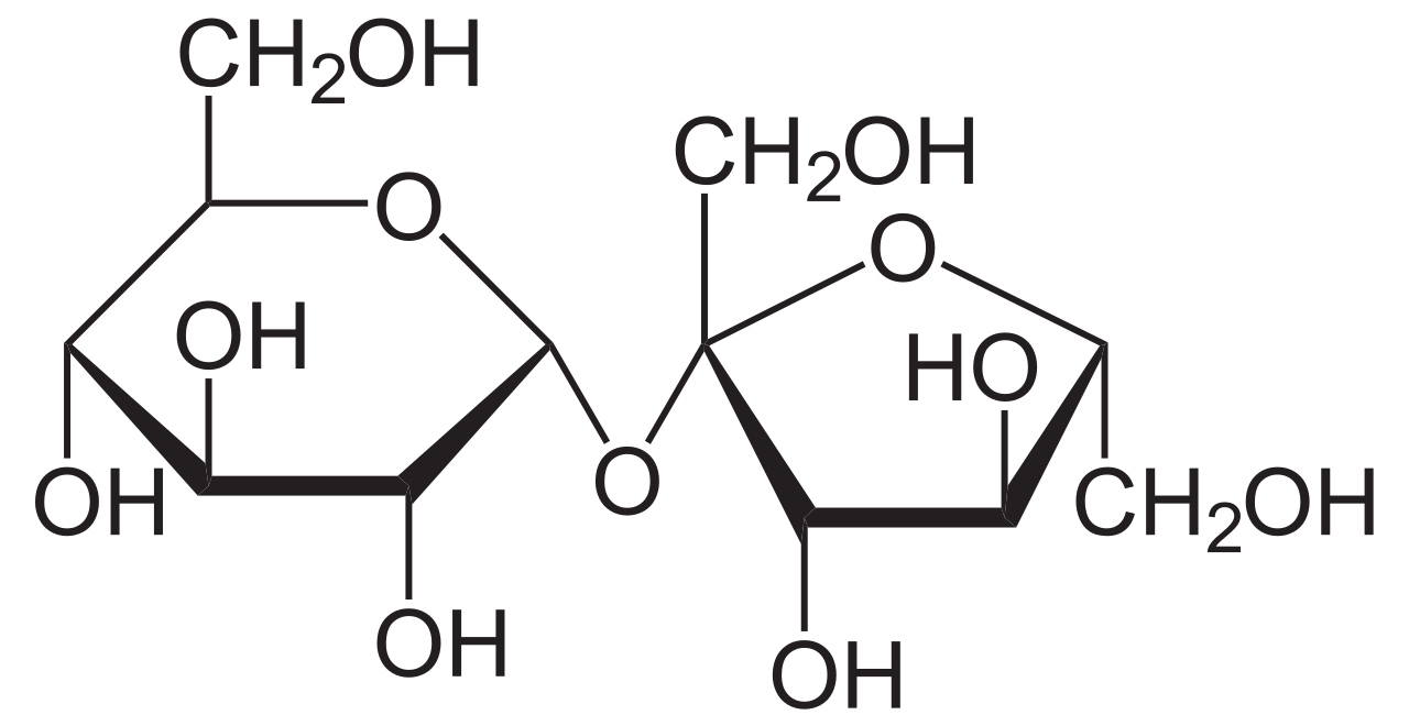 Saccharose apyrogène